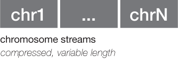 ../../../../_images/starch_specification_chromosomestreams.png